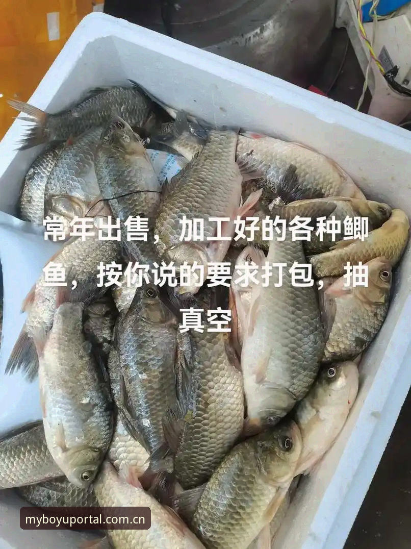 博鱼赛事提醒 资深草地赛观赛用户分享:跟着博鱼赛事提醒看完迪亚洛这场翻盘,才懂“大炮对决”的看点